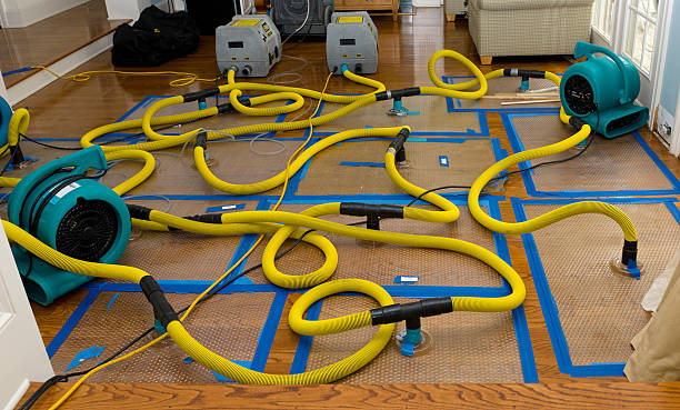 Professional Storm Water Damage Restoration technician working in Madisonville, LA